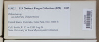 Image Associated With the Occurence